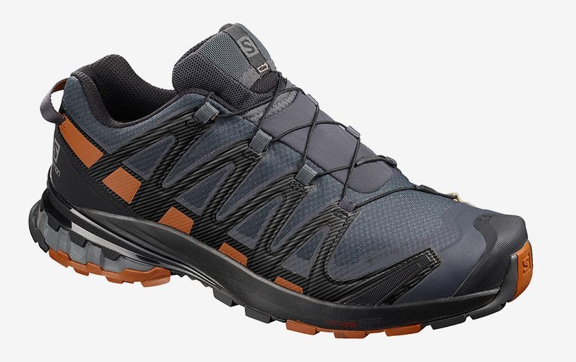 XA PRO 3D V8 GORE-TEX 究極のマルチパーパスシューズ | Salomon